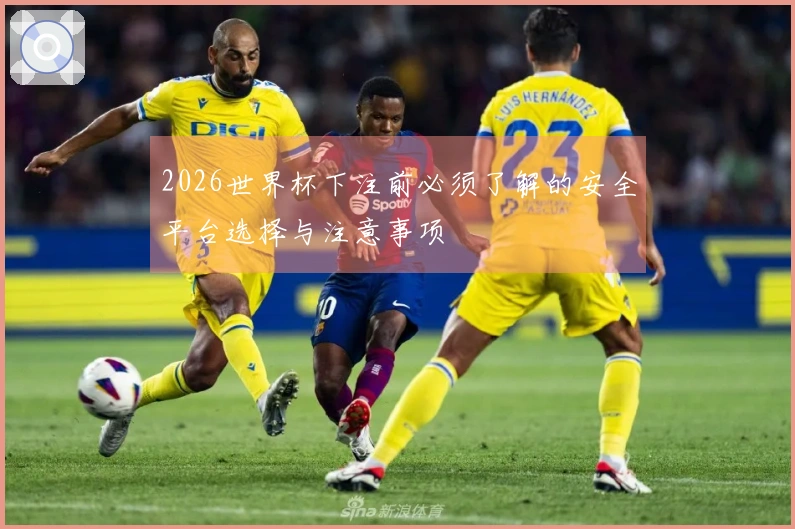 2026世界杯下注前必须了解的安全平台选择与注意事项