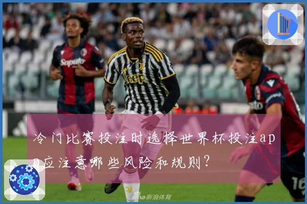 冷门比赛投注时选择世界杯投注app应注意哪些风险和规则?