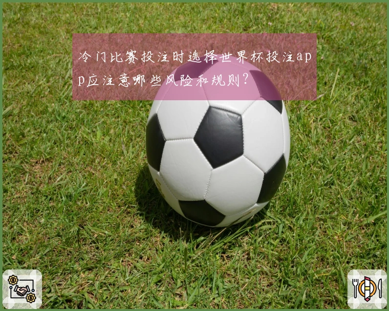 冷门比赛投注时选择世界杯投注app应注意哪些风险和规则？